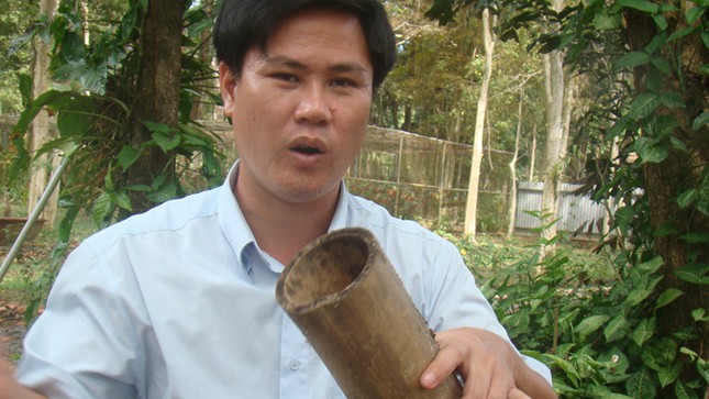 Gian nan trả bản năng gốc cho gấu ảnh 1