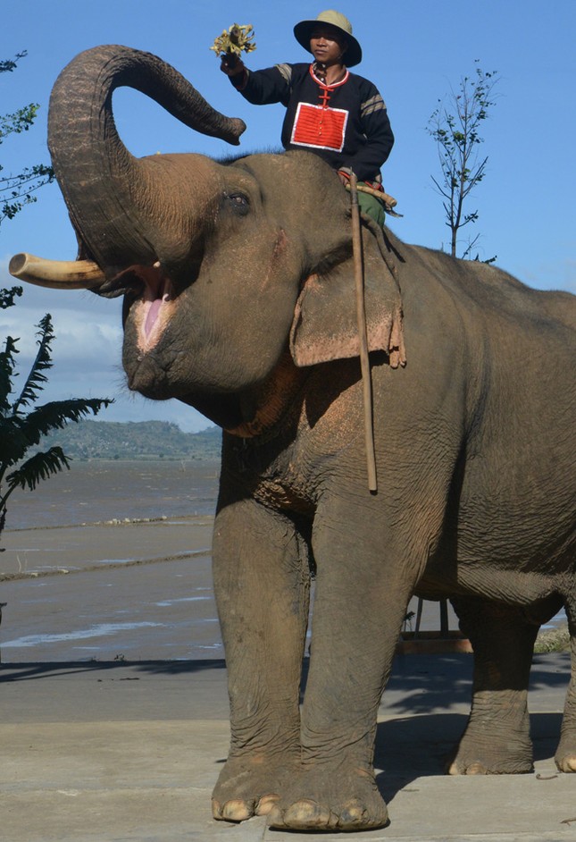 Thế là nàng đã mang thai! ảnh 1