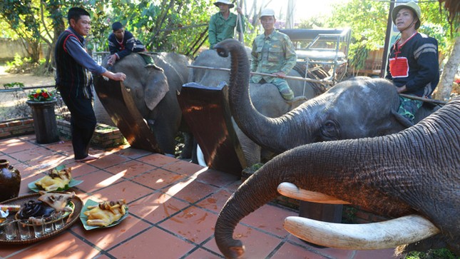 Thế là nàng đã mang thai! ảnh 2