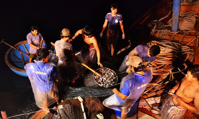Bí kíp con tàu vô địch làng chài ảnh 2