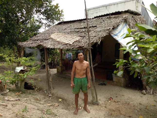 Mưu sinh trên... ngọn dừa ảnh 1