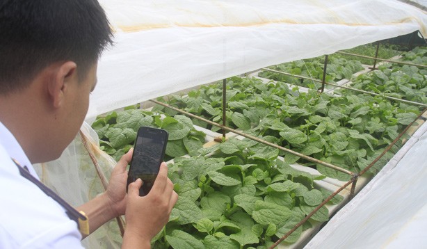 Trường Sa mùa xuân về ảnh 1