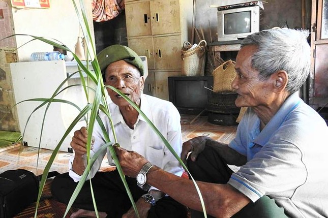 Tìm cây chữa thất tình: Chuyện người trong cuộc ảnh 1