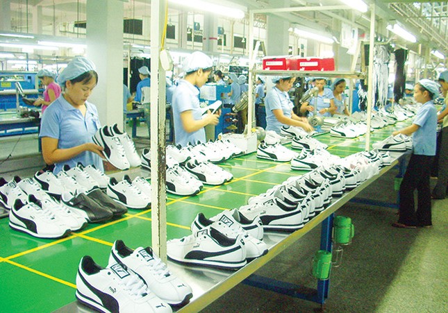 Không có chỗ cho khôn vặt và láu cá ảnh 1