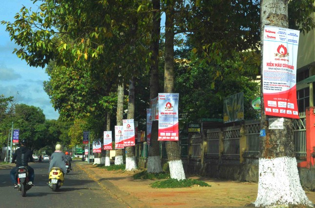 Chủ Nhật Đỏ giúp trữ đủ lượng máu cứu người đến hết tết Nguyên đán ảnh 5