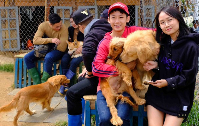 Kiếm tiền tỉ từ 'chó chiến', chó cưng ảnh 8