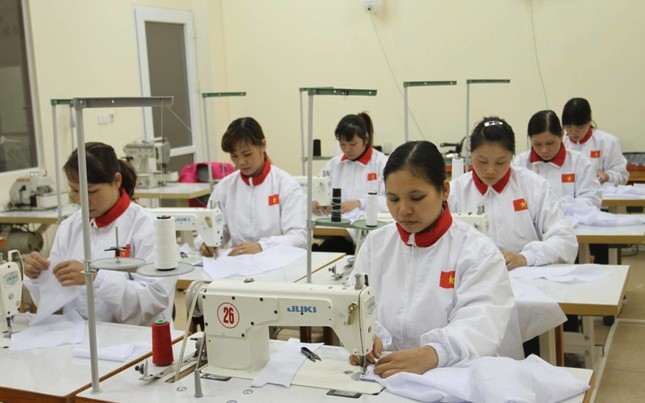 Doanh nghiệp xuất khẩu lao động liêu xiêu vì dịch COVID-19 ảnh 1