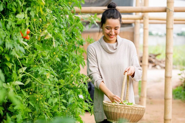 Nhiều người trẻ kiệt sức vì làm việc ảnh 3