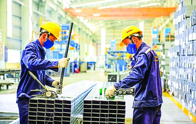 Cộng hưởng sức mạnh vì phồn vinh đất nước ảnh 2