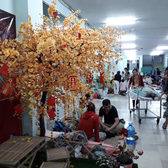 Đón xuân giữa làn ranh sinh tử ảnh 1