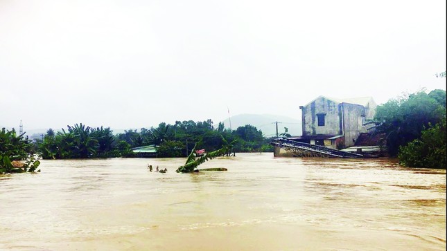 Dở khóc dở cười giữa lũ ảnh 1
