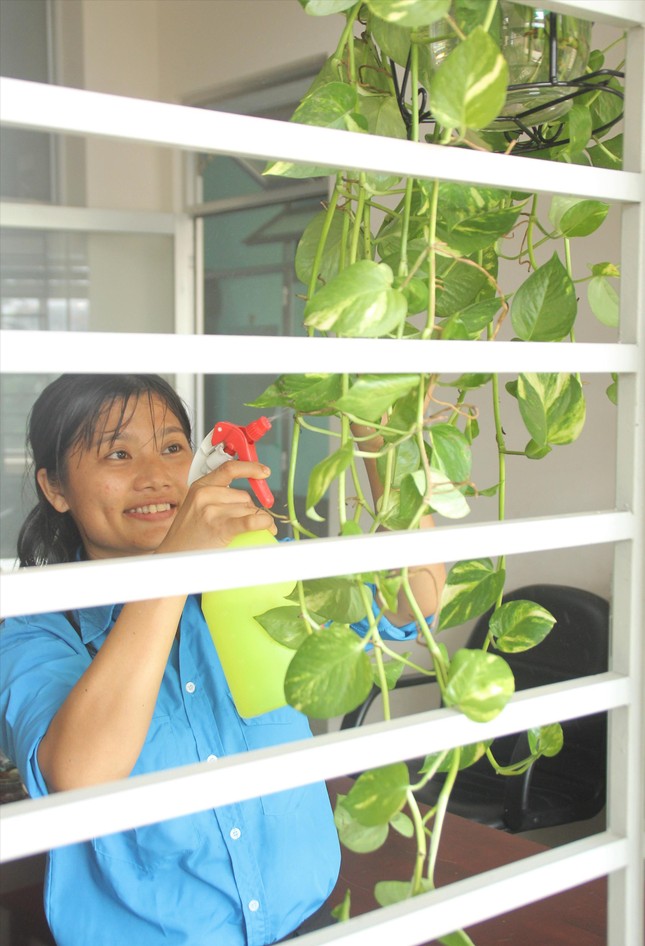 Sống xanh bắt đầu từ nơi làm việc ảnh 1