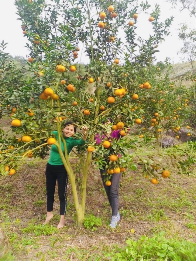 Tranh thủ trẻ ngủ trưa, cô giáo vội chốt đơn bán hàng bù đồng lương ít ỏi ảnh 1