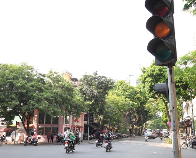Vượt đèn vàng: Gần vạch, phanh sao kịp mà phạt? ảnh 2