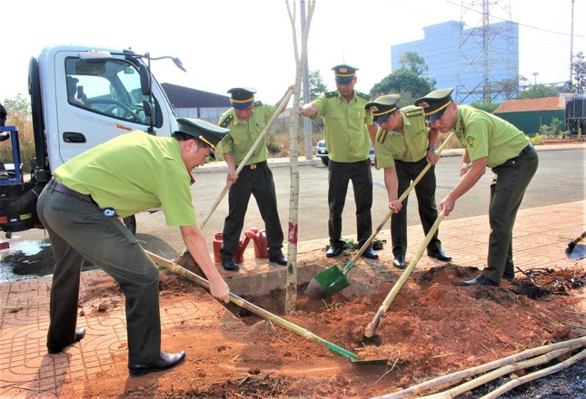 Mỗi đoàn viên trồng mới 1 cây xanh, nêu cao tinh thần tố giác phá rừng ảnh 3