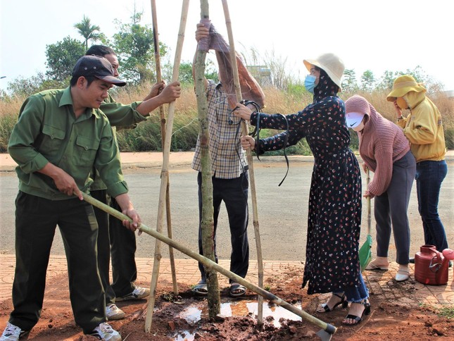 Mỗi đoàn viên trồng mới 1 cây xanh, nêu cao tinh thần tố giác phá rừng ảnh 4
