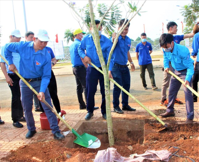 Mỗi đoàn viên trồng mới 1 cây xanh, nêu cao tinh thần tố giác phá rừng ảnh 1