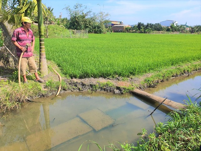 Đắk Lắk: Dân vét nước tưới bên kênh thủy lợi chục tỷ bỏ hoang ảnh 1