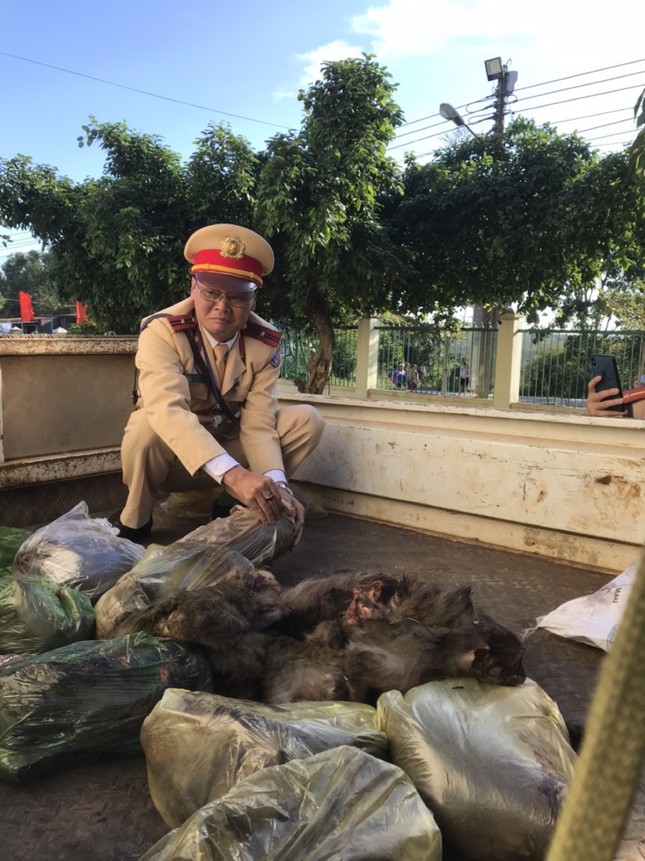 Đắk Lắk: Bắt đối tượng chở cả bao tải khỉ đã chết ảnh 1