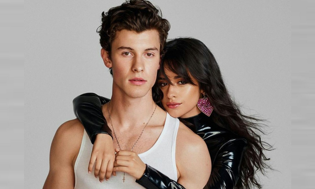 Cặp đôi 'Señorita' Shawn Mendes và Camila Cabello chia tay ảnh 1