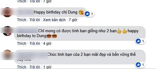 HH Phương Nga vui vẻ cùng tri kỷ đón tuổi mới dù bị phục hồi điều tra ảnh 4