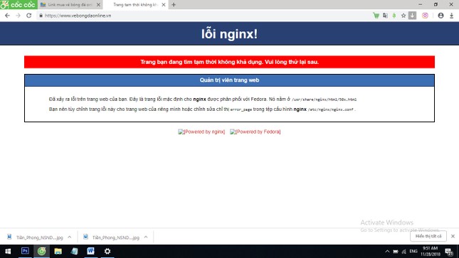'Nghẽn' website bán vé AFF Cup, cổ động viên kêu trời ảnh 1