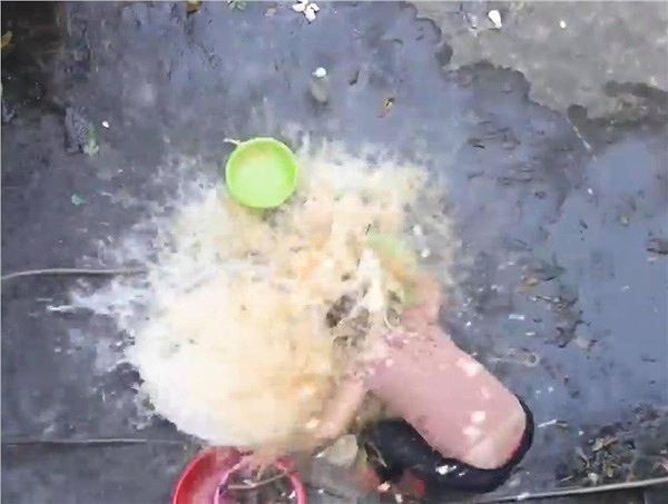 YouTuber đổ nước mắm lên người mẹ để ăn mừng: 'Thông điệp' tiêu cực tới xã hội ảnh 3