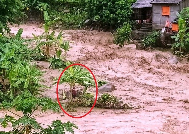 Đu ngọn cây, người đàn ông Thanh Hóa sống sót giữa dòng lũ cuồn cuộn ảnh 3