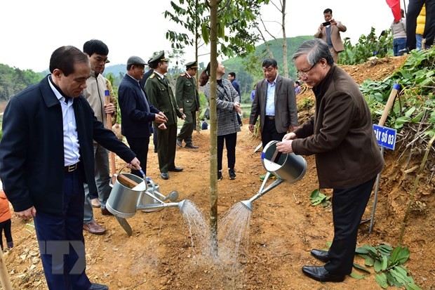 Thường trực Ban Bí thư dự Lễ phát động Tết trồng cây tại Tuyên Quang ảnh 1