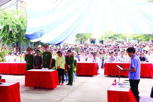 Đi viết ở tòa, về nhà bỏ cơm ảnh 2
