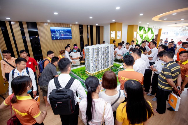 Kim Oanh Group vững bước sau chiến lược tái cơ cấu ảnh 4