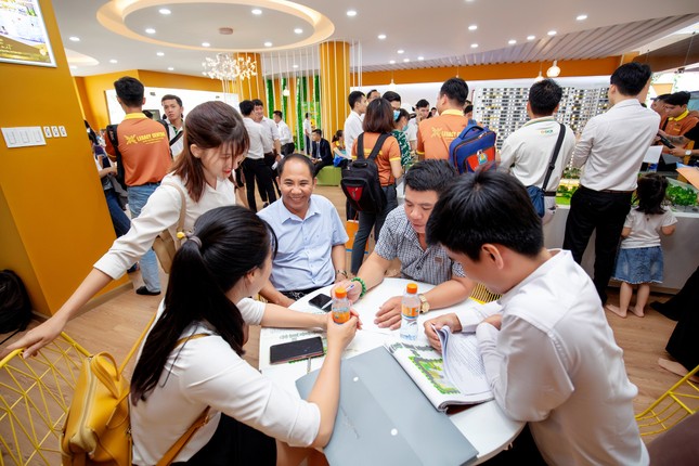 Kim Oanh Group vững bước sau chiến lược tái cơ cấu ảnh 3