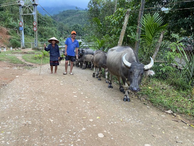 Thăm lại làng 'bệnh lạ' ảnh 3