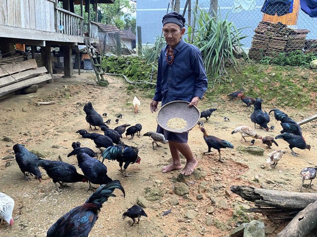 Thăm lại làng 'bệnh lạ' ảnh 4