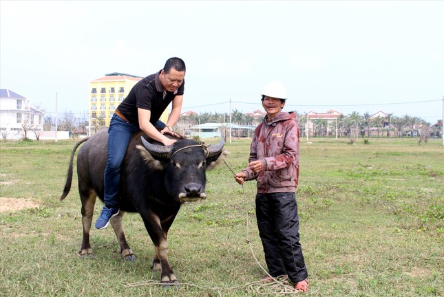Dắt trâu… làm du lịch ảnh 1