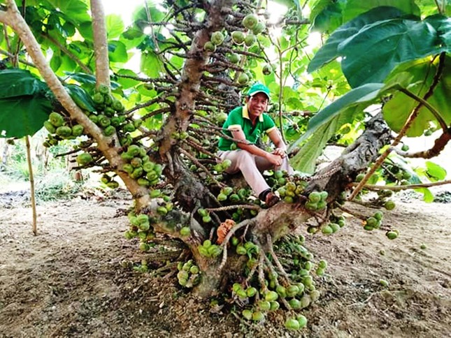 Bán nhà vì mê... vả ảnh 2