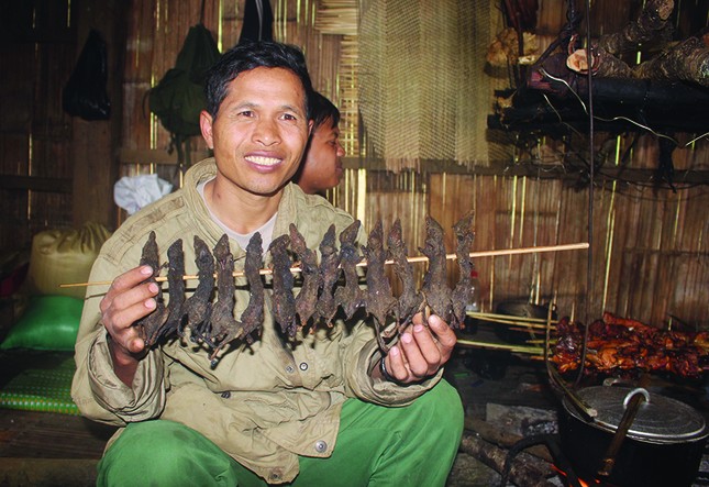 Tôi đi săn chuột 'quý tộc' ảnh 1