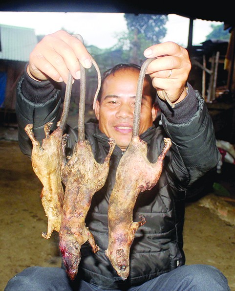 Tôi đi săn chuột 'quý tộc' ảnh 4