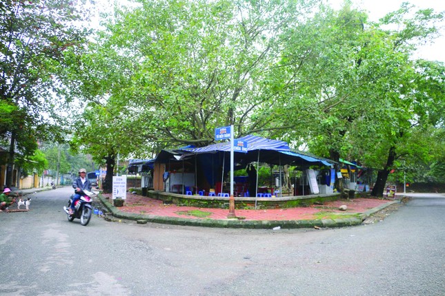 'Mơ lại thời xưa xóm Ngự Viên…' ảnh 3