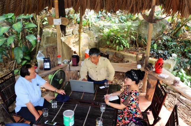 Ngọt thơm ca cao Đồi Đá ảnh 2