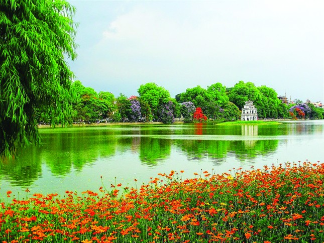Cư dân phố cổ ảnh 2