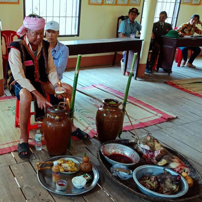 Truyền thống của đồng bào bản địa Tây Nguyên không có đua voi ảnh 1