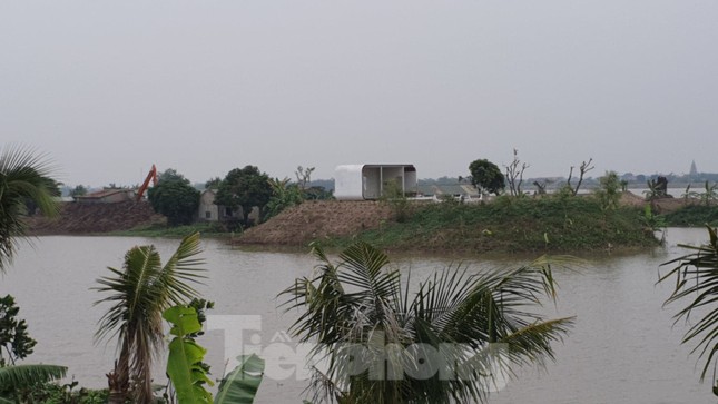 Ngang nhiên trồng hàng trăm cây lâu năm xâm phạm đê sông Đáy ảnh 8