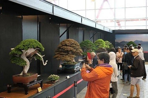 TPHCM công bố 10 sự kiện nổi bật năm 2019 ảnh 10