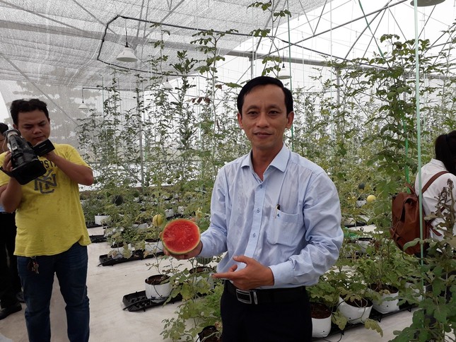 Sản xuất rau quả sạch trên bãi rác ở TPHCM ảnh 12