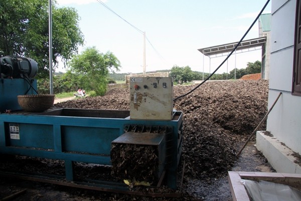 Bí ẩn người đầu cơ cả trăm tấn lá vải cho nước ngoài ảnh 2