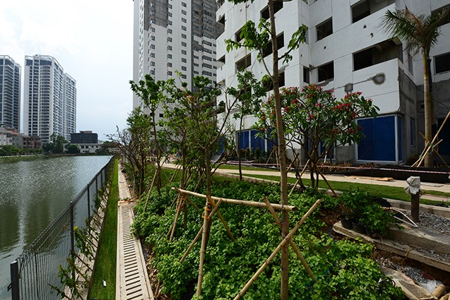Miễn phí dịch vụ 5 năm khi sở hữu căn hộ cao cấp Mulberry Lane ảnh 3
