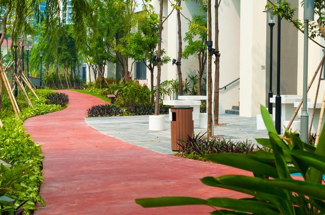 Miễn phí dịch vụ 5 năm khi sở hữu căn hộ cao cấp Mulberry Lane ảnh 5