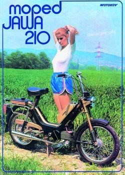 Bán nhà mặt phố để có được "nàng Ba bét nhè" ảnh 3