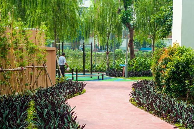 Miễn phí dịch vụ 5 năm khi sở hữu căn hộ cao cấp Mulberry Lane ảnh 6